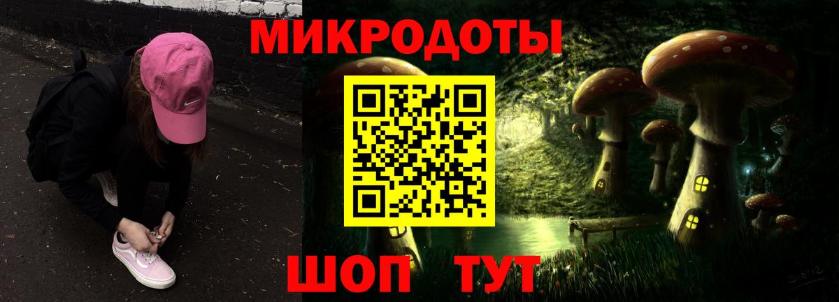 Галлюциногенные грибы Psilocybe Волоколамск